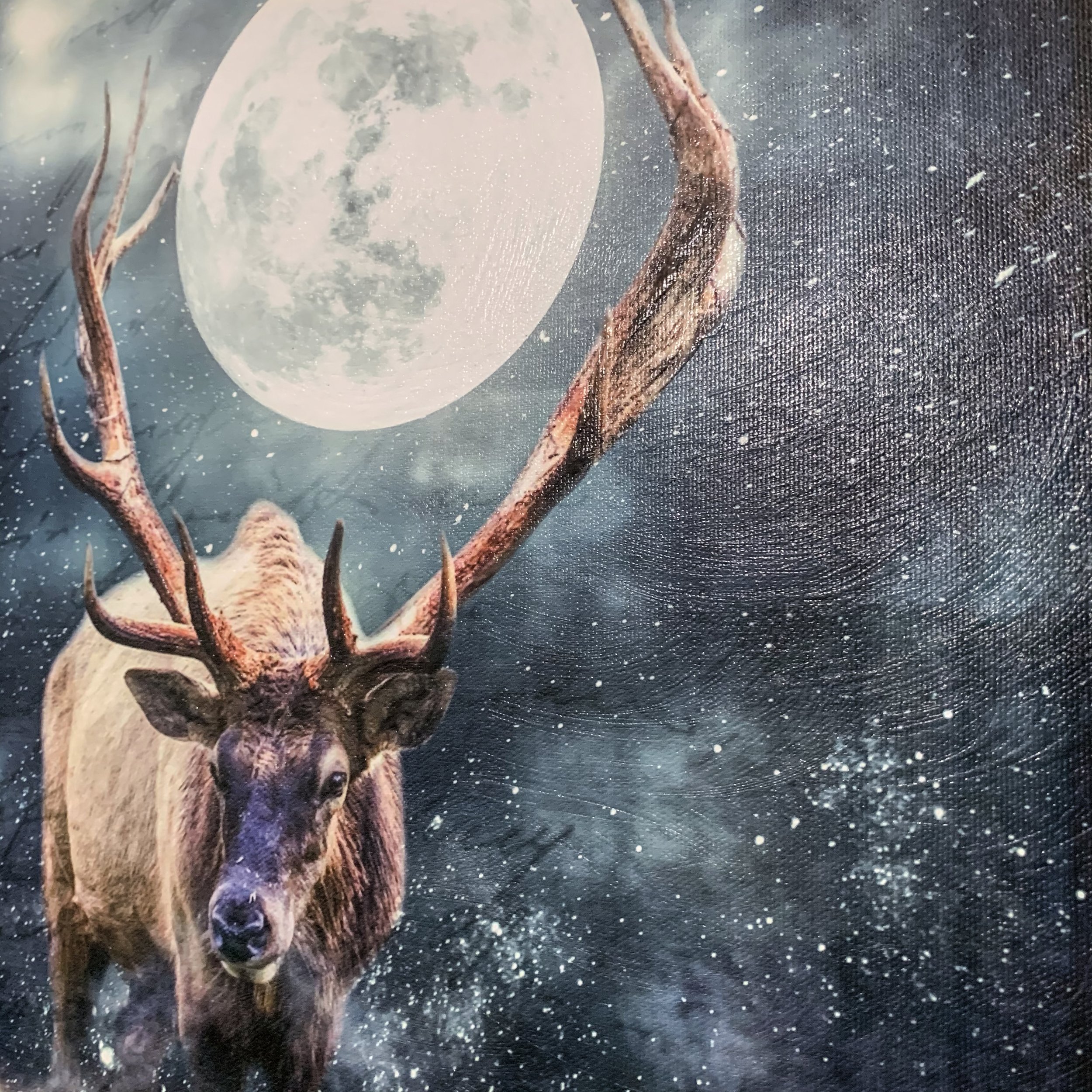 ElkMoon_close 2.JPG