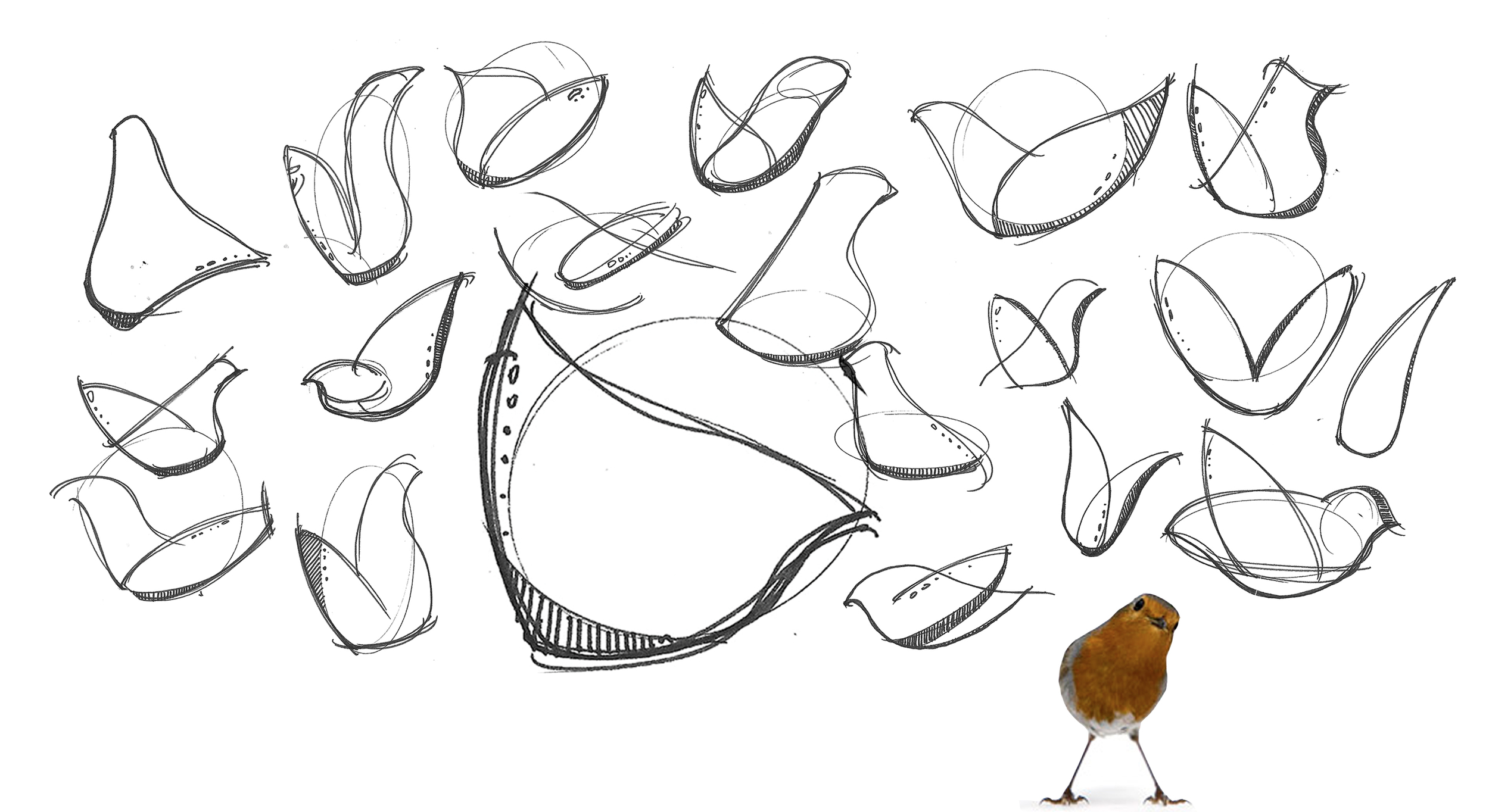 Birdie_Sketch(web).jpg