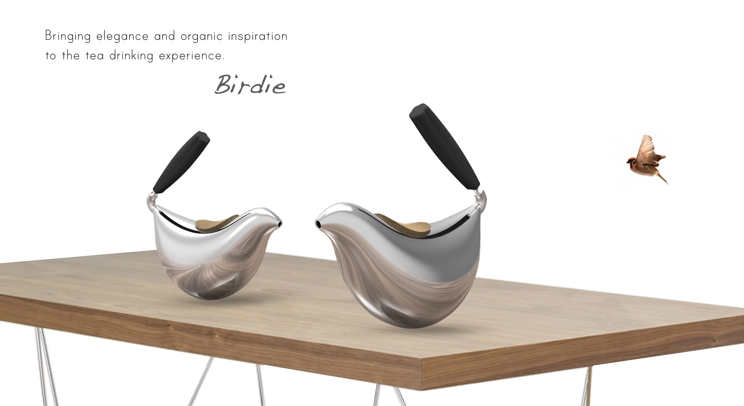 Birdie_Final-Concept(web).jpg