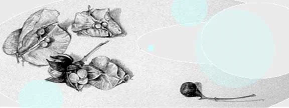 Learning to See- Learning to Draw