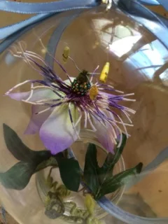 passision flower.jpg