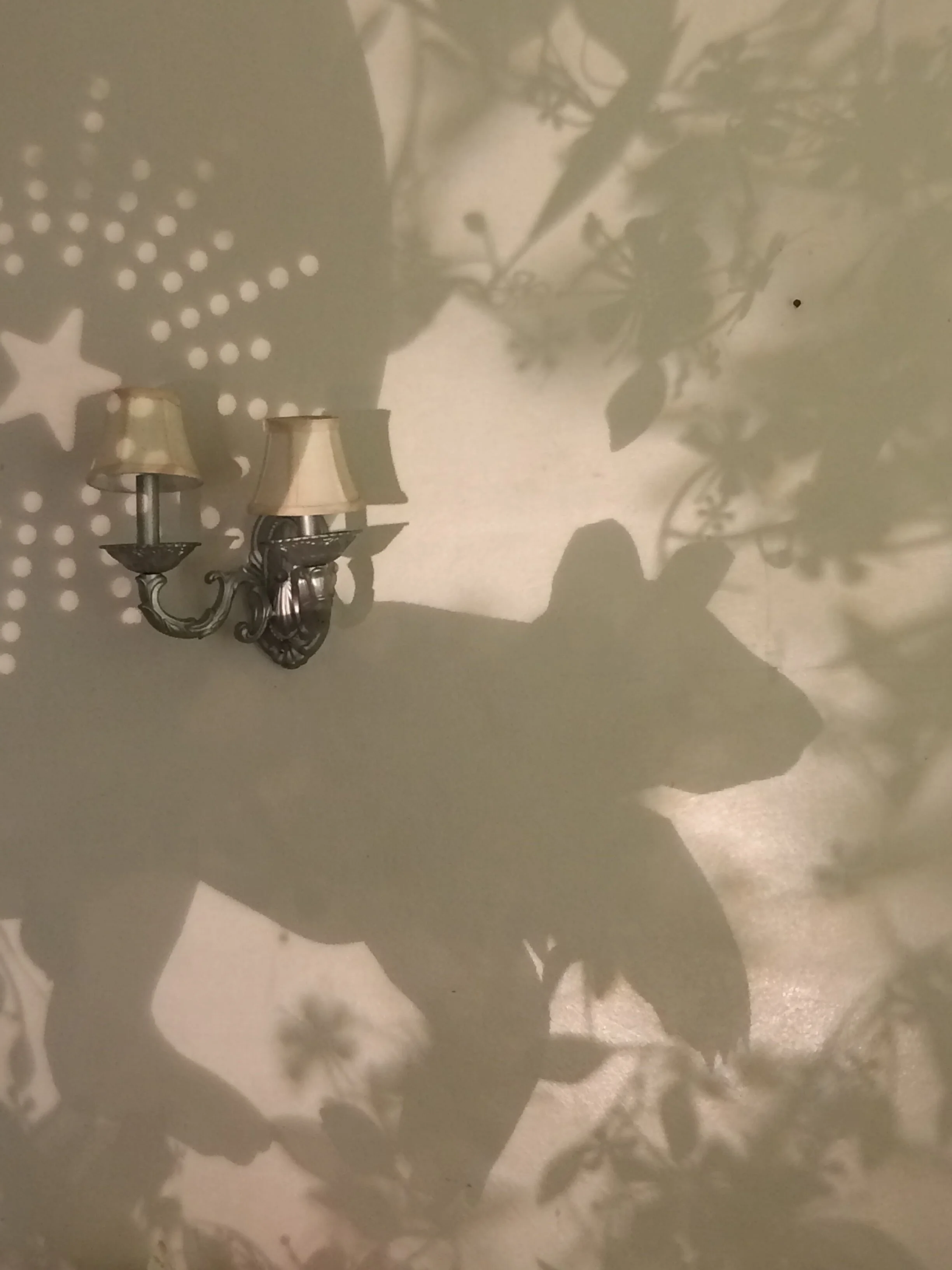 Grandmother Star Bear on the hunt