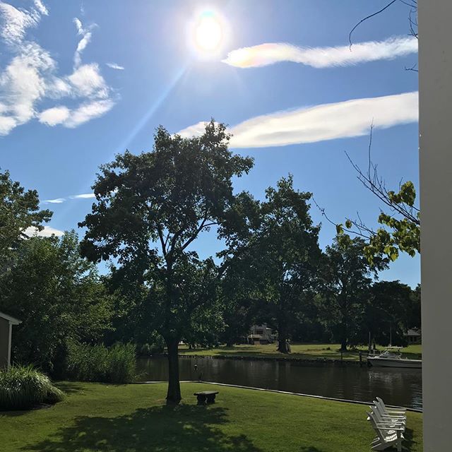 Post storm signs of ❤️ #sunshine #greatblueheron #ilovemymom #grateful #sweetwater