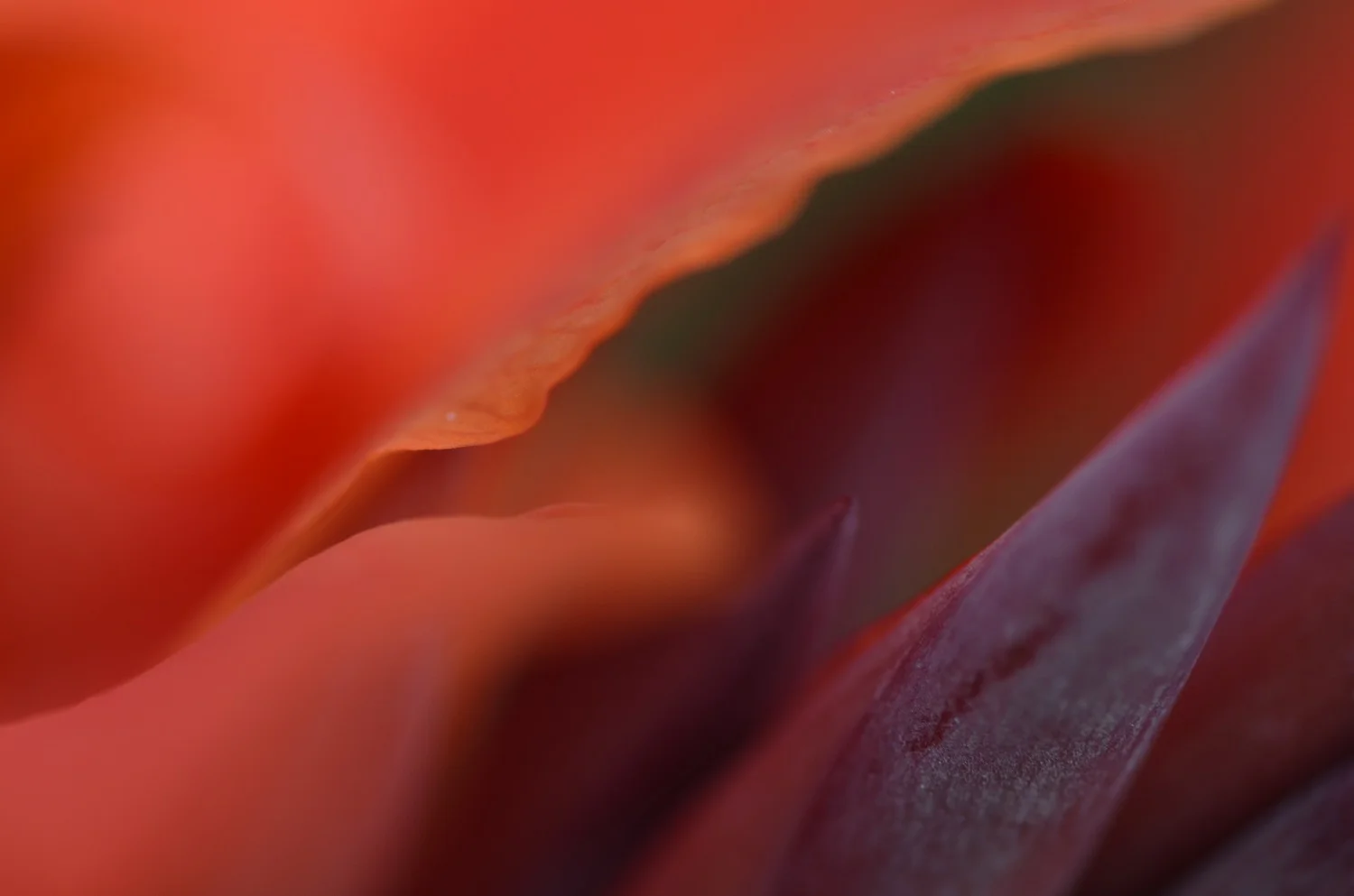 DSC_5880kn.jpg