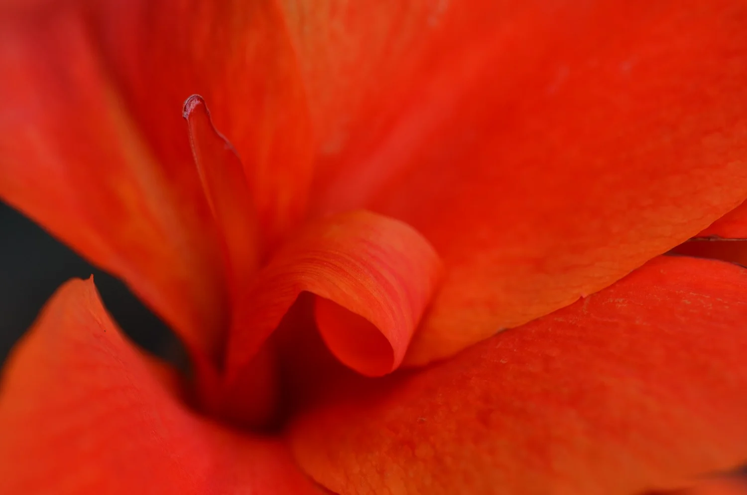 DSC_5889kn.jpg