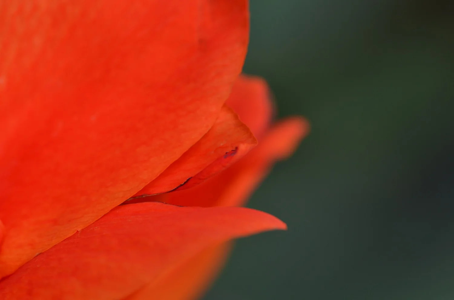 DSC_5891kn.jpg