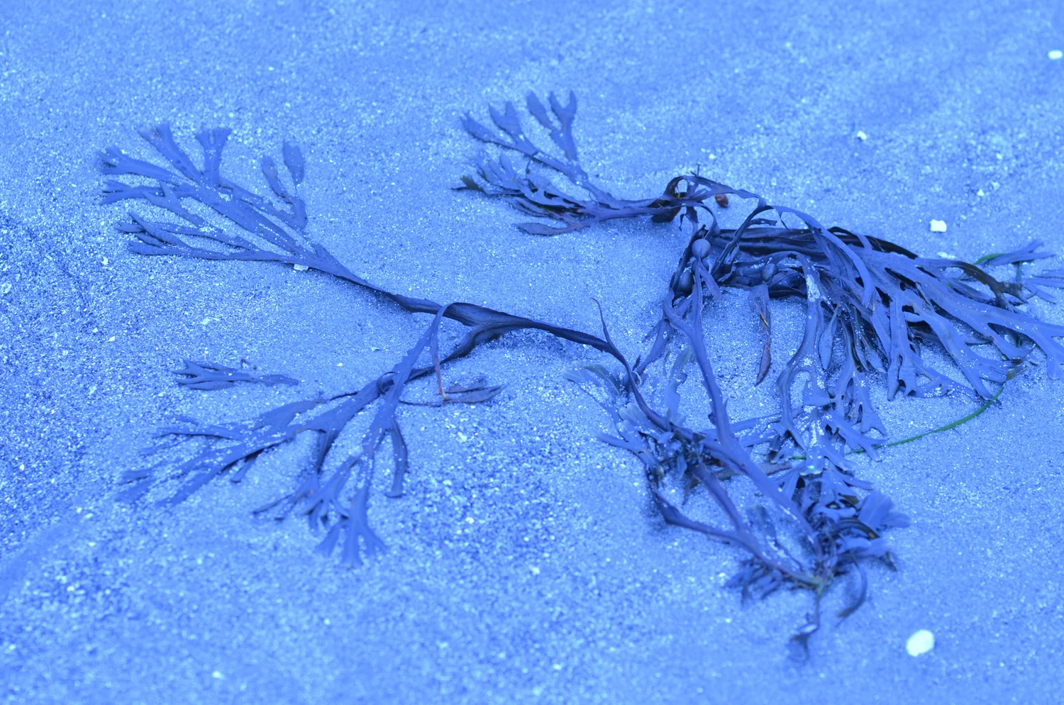 DSC_0834.jpg