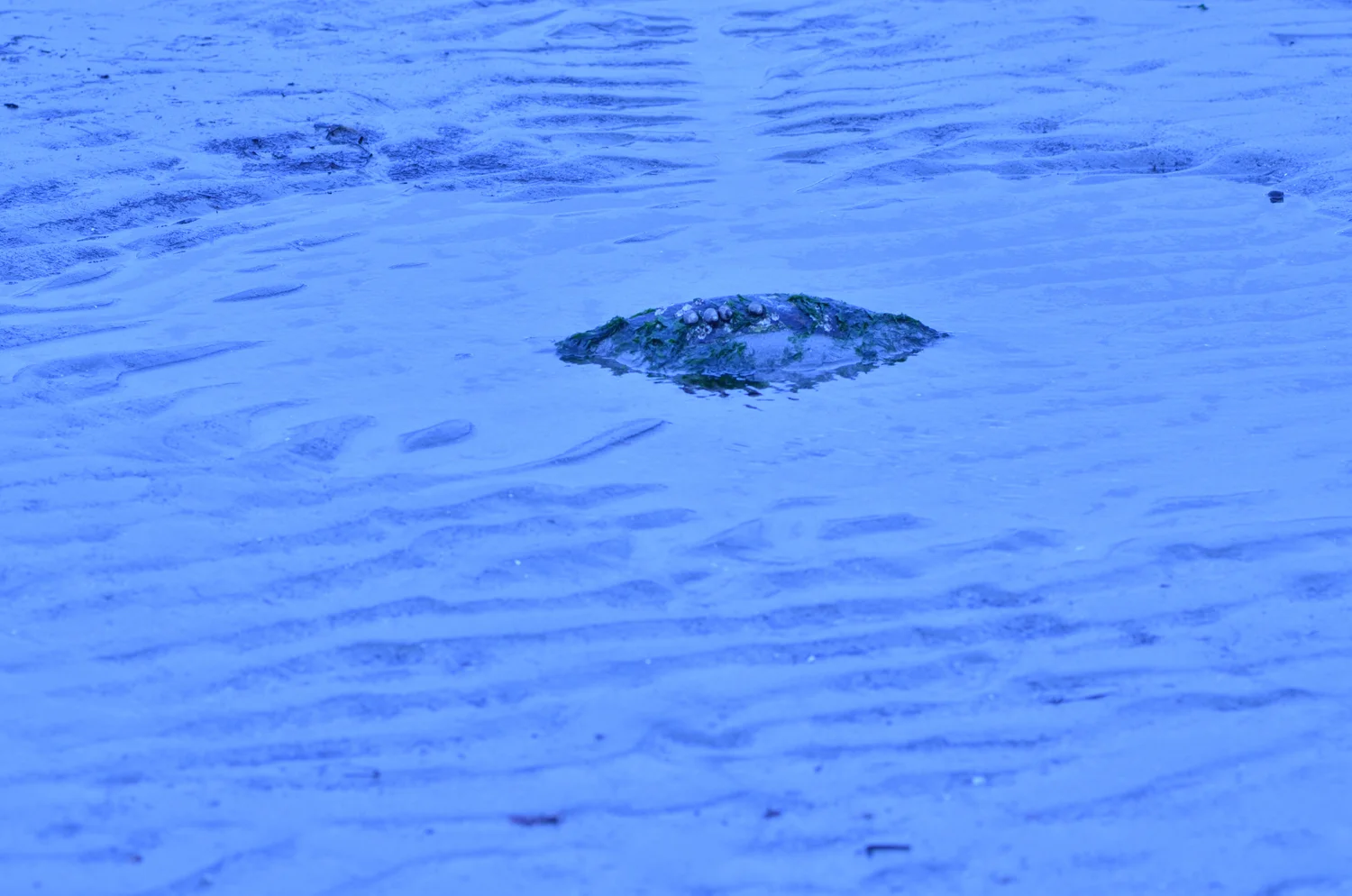 DSC_0838.jpg