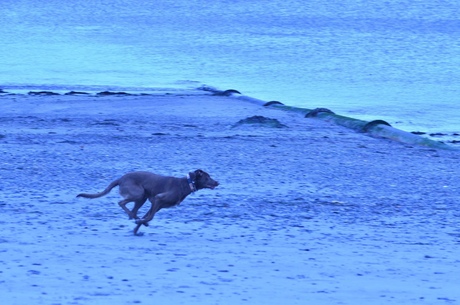 DSC_0854.jpg