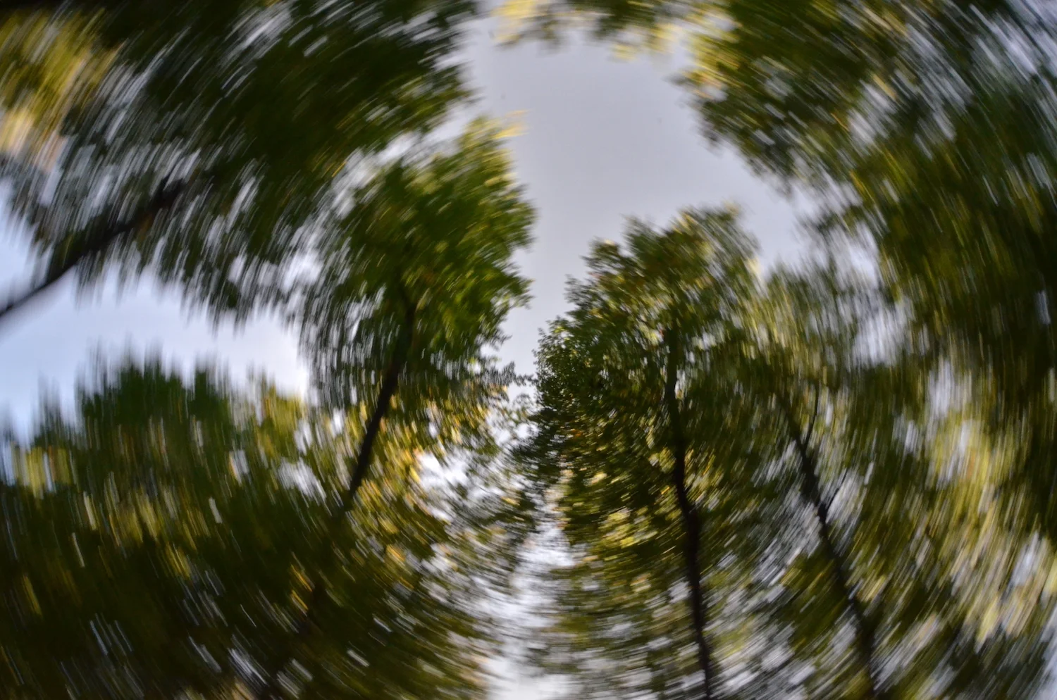 the aim is to have one spot sharp....