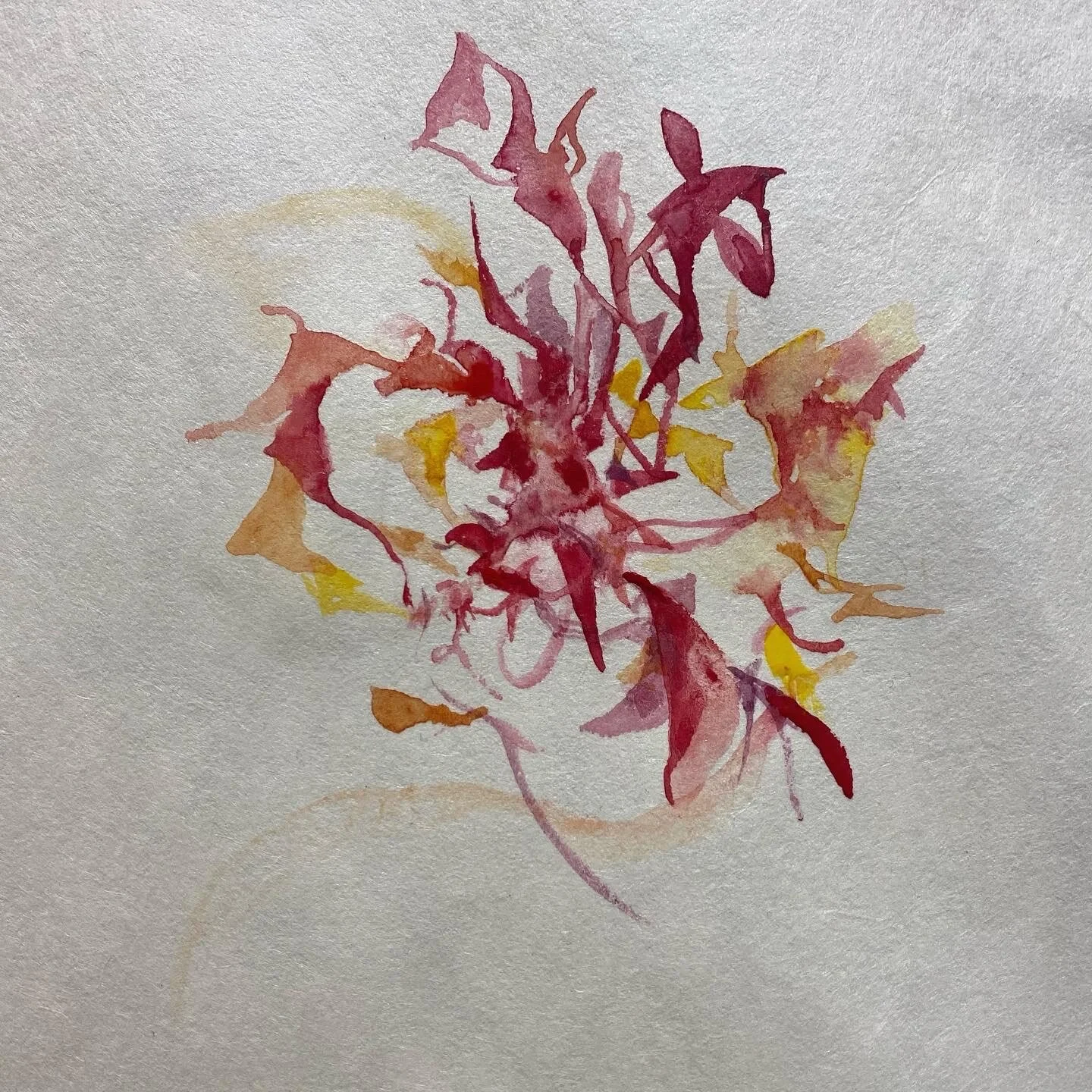 Beauty in Desolate Places