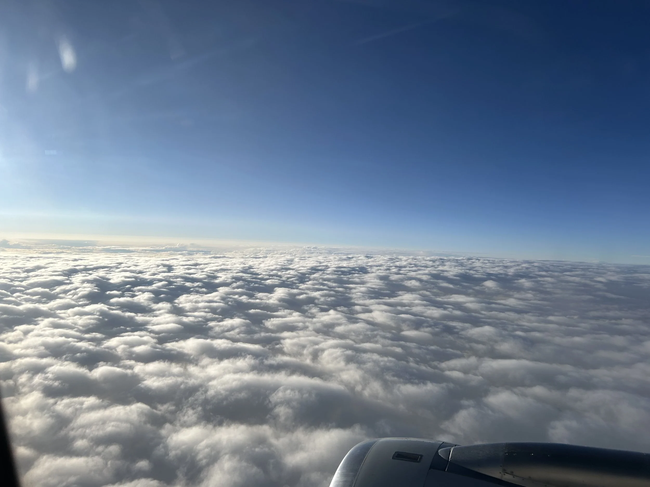 The Search for Wonder