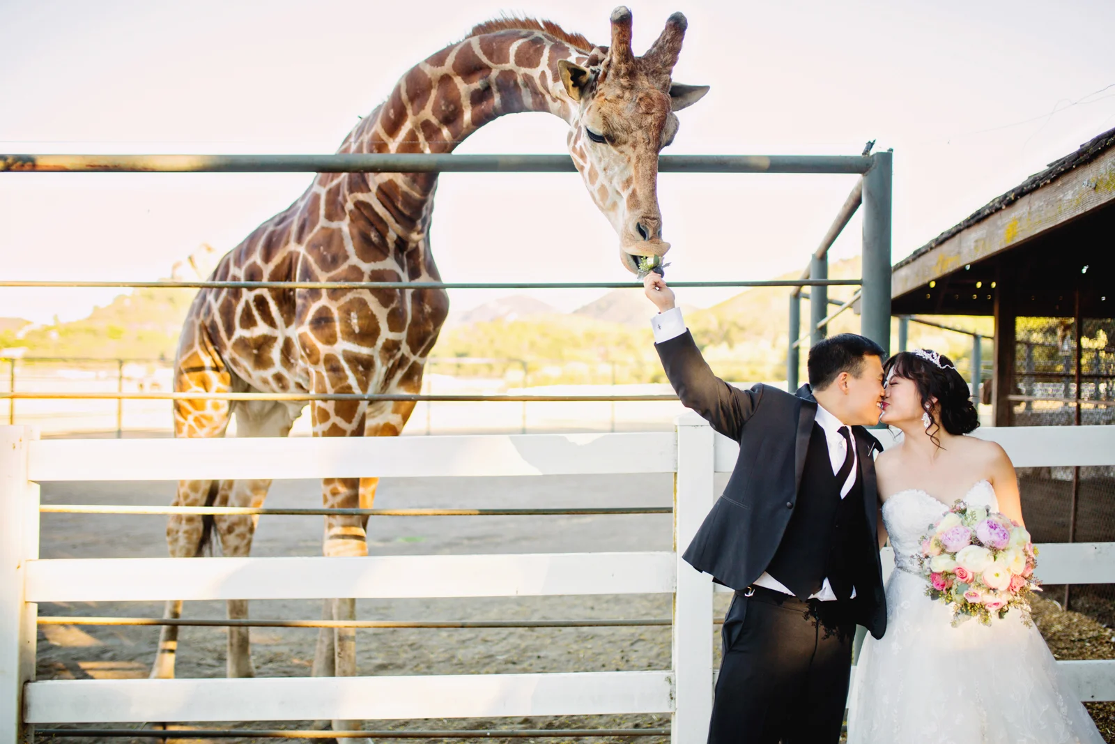 C & J Wedding (Web)-422.jpg