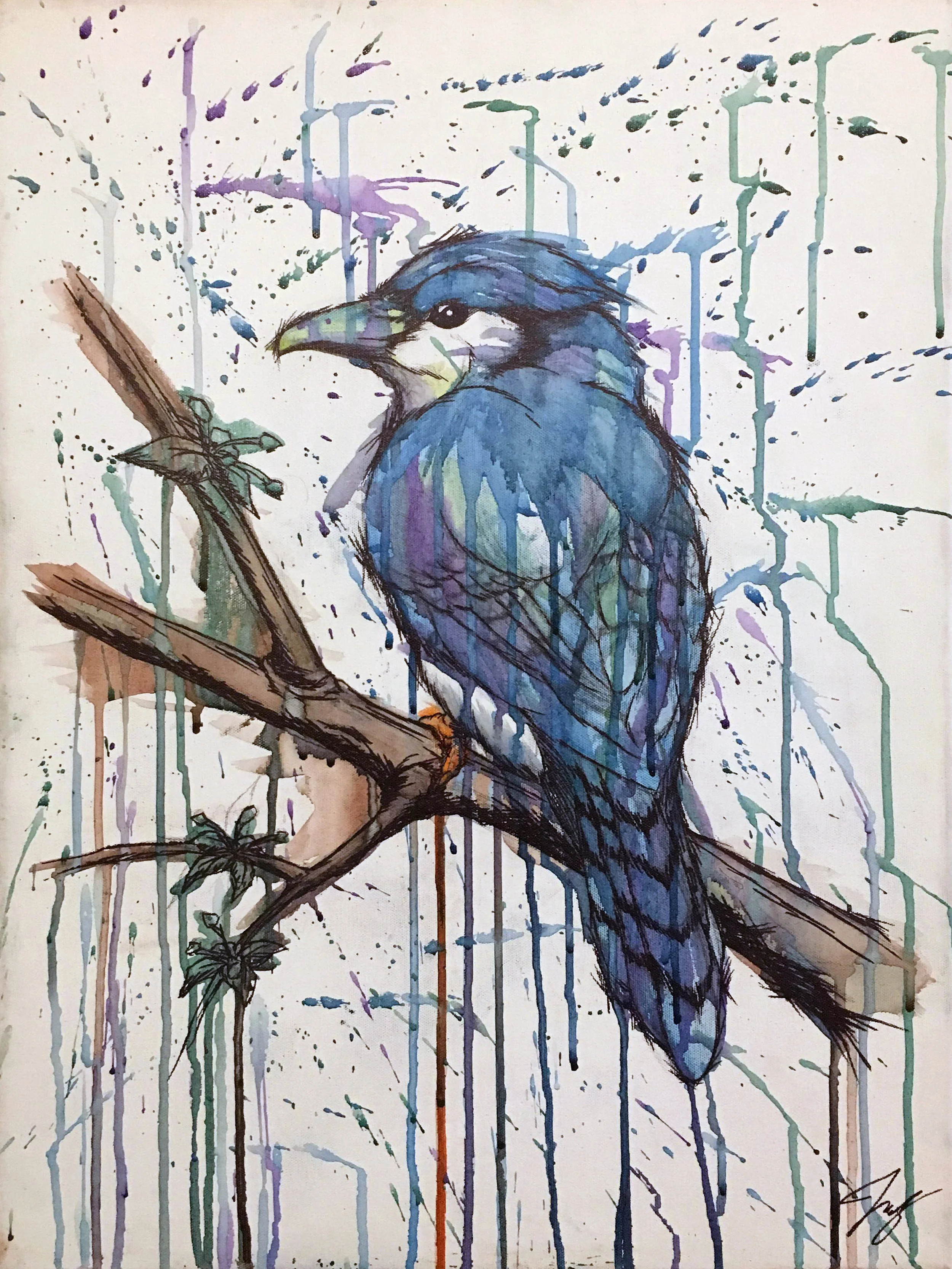 Blue Jay - 18 x 24