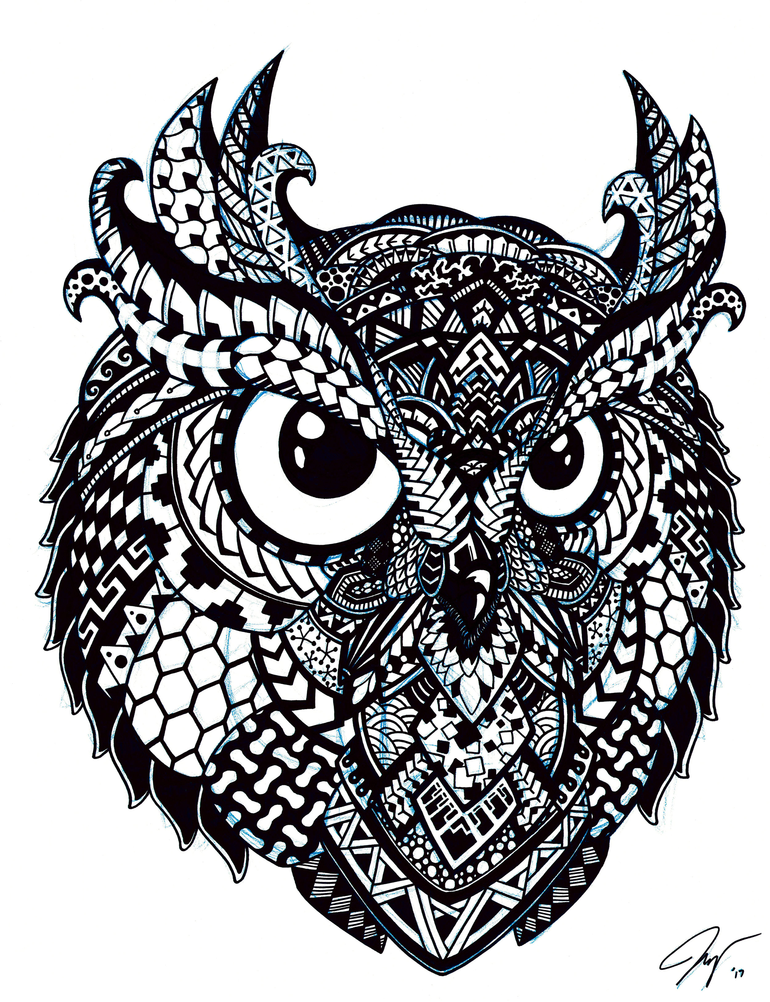 Owl - 18 x 23 1⁄2
