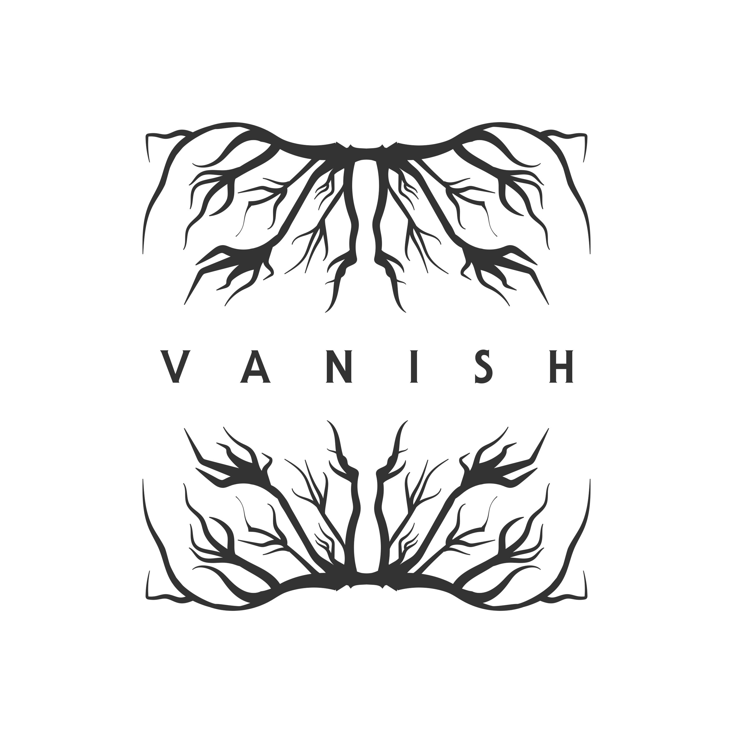 vanish.jpg