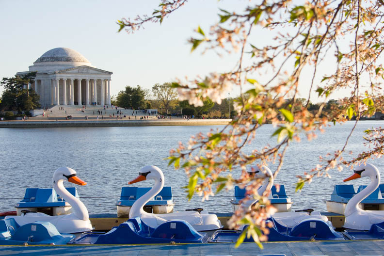 Castro_4816_Spring_Web-Rowing Boats.jpg