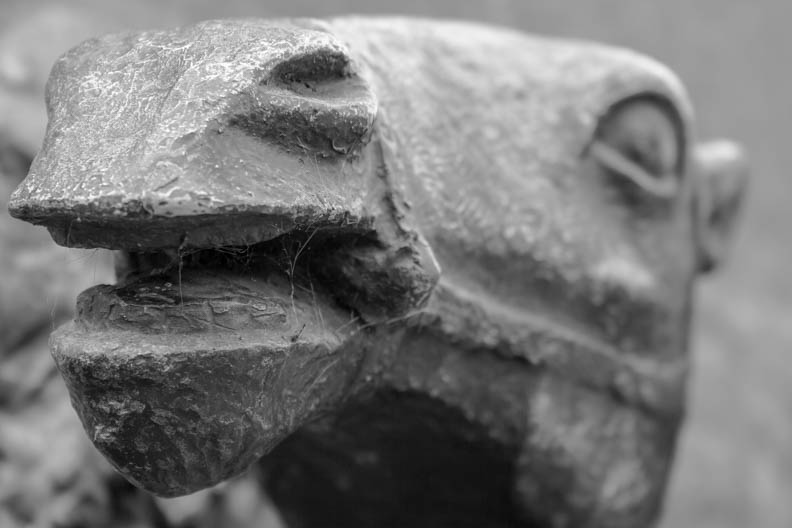 Castro_4816_Spring_Web-Art Museum 2.jpg