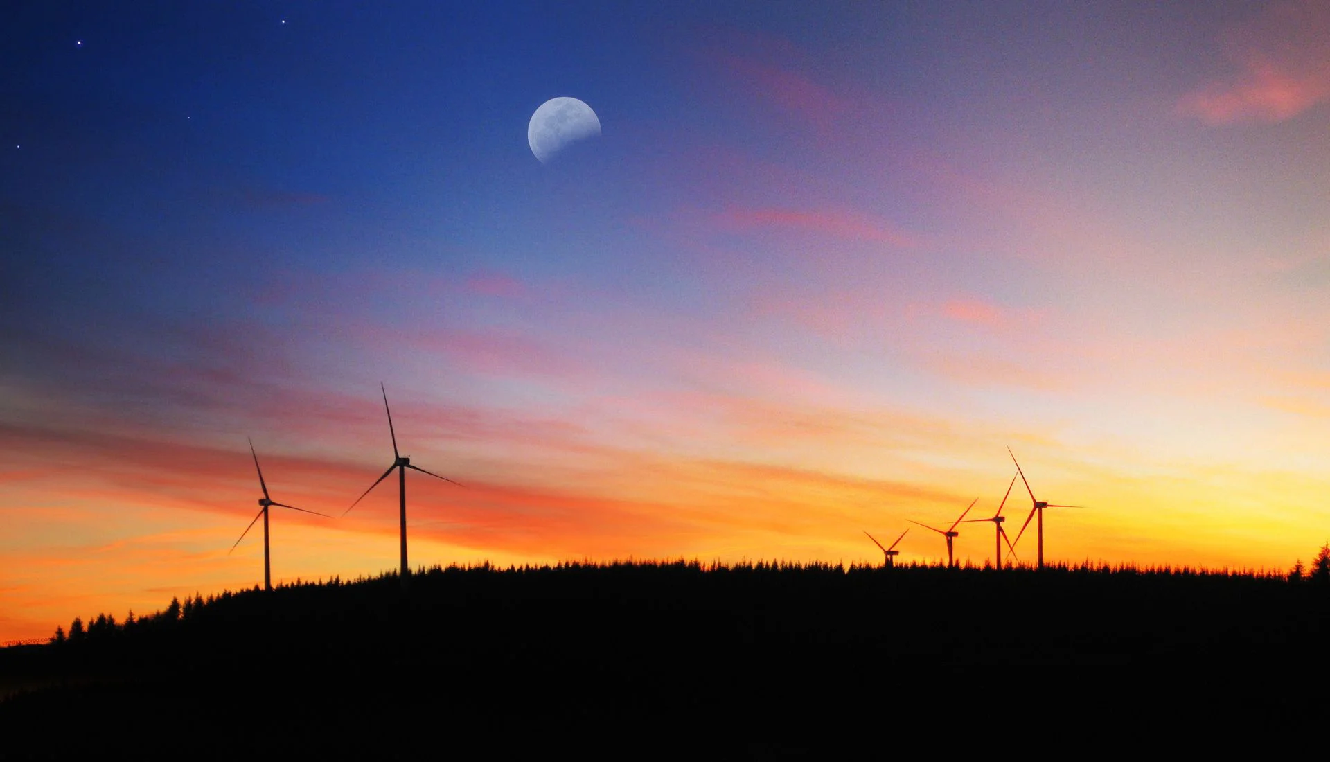 windmills.jpg
