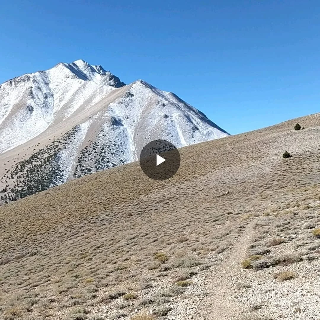 Climbed #BoundaryPeak yesterday up the Queen's Mine trail. Perfect day. This was a hard one; steep, snow and a lot of loose scree. #19 in my #HighestPoint 
#Hiking #Hike #HikingAdventures #Mountains #WildernessCulture #AdventureCulture #OutdoorCultur