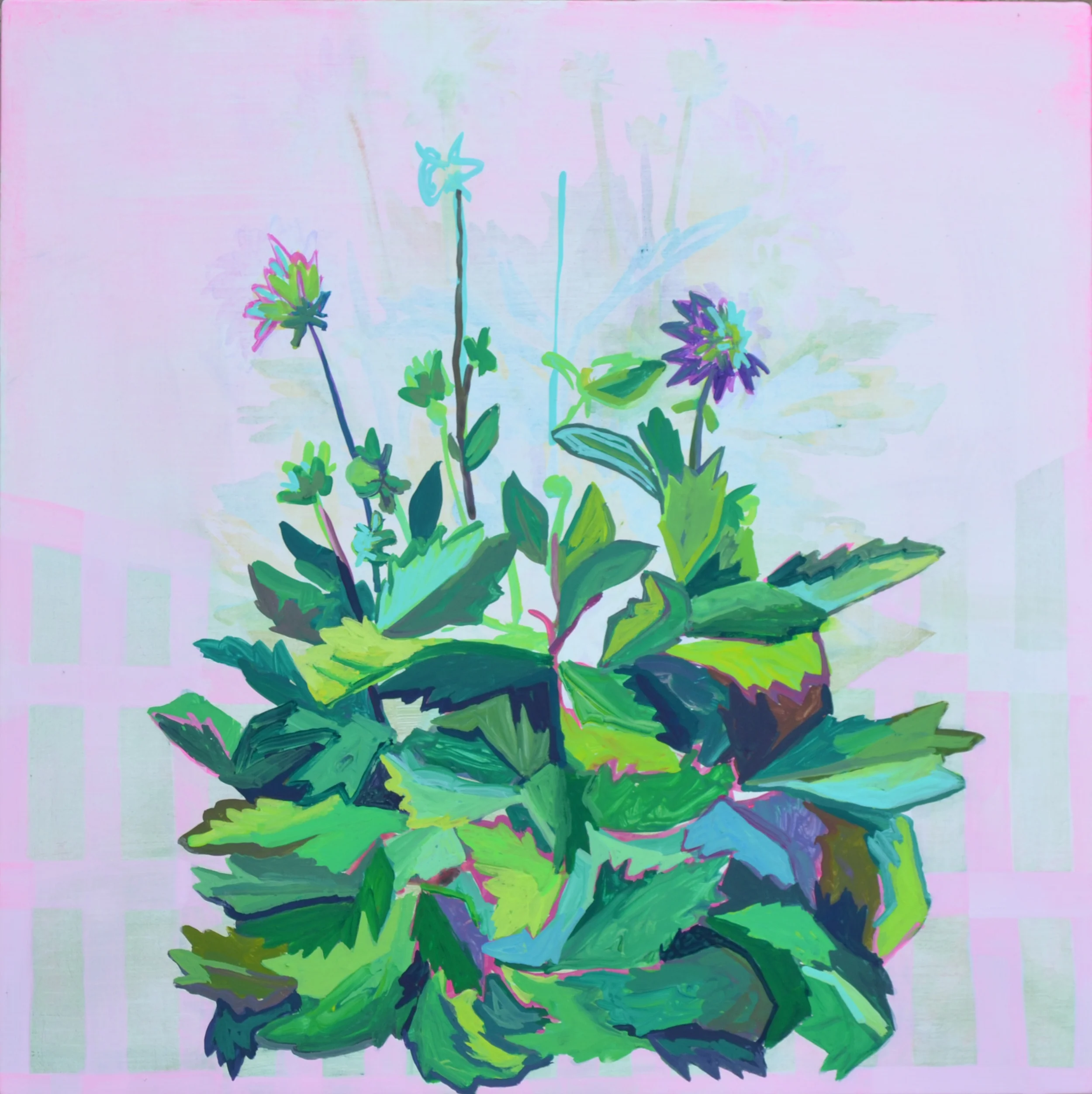 2013 Gouache on Panel 12 x 12 inches