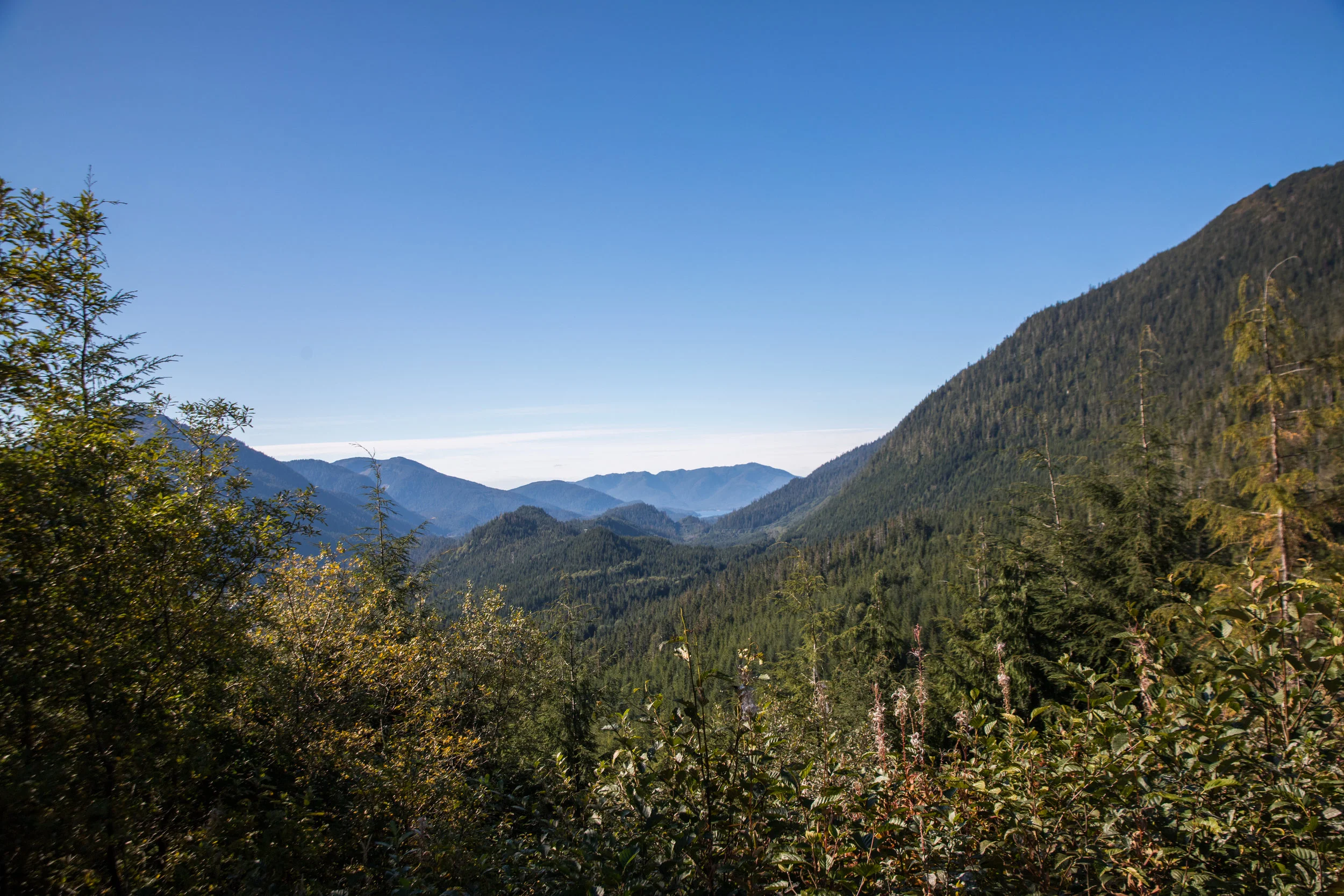 IMG_7576.jpg