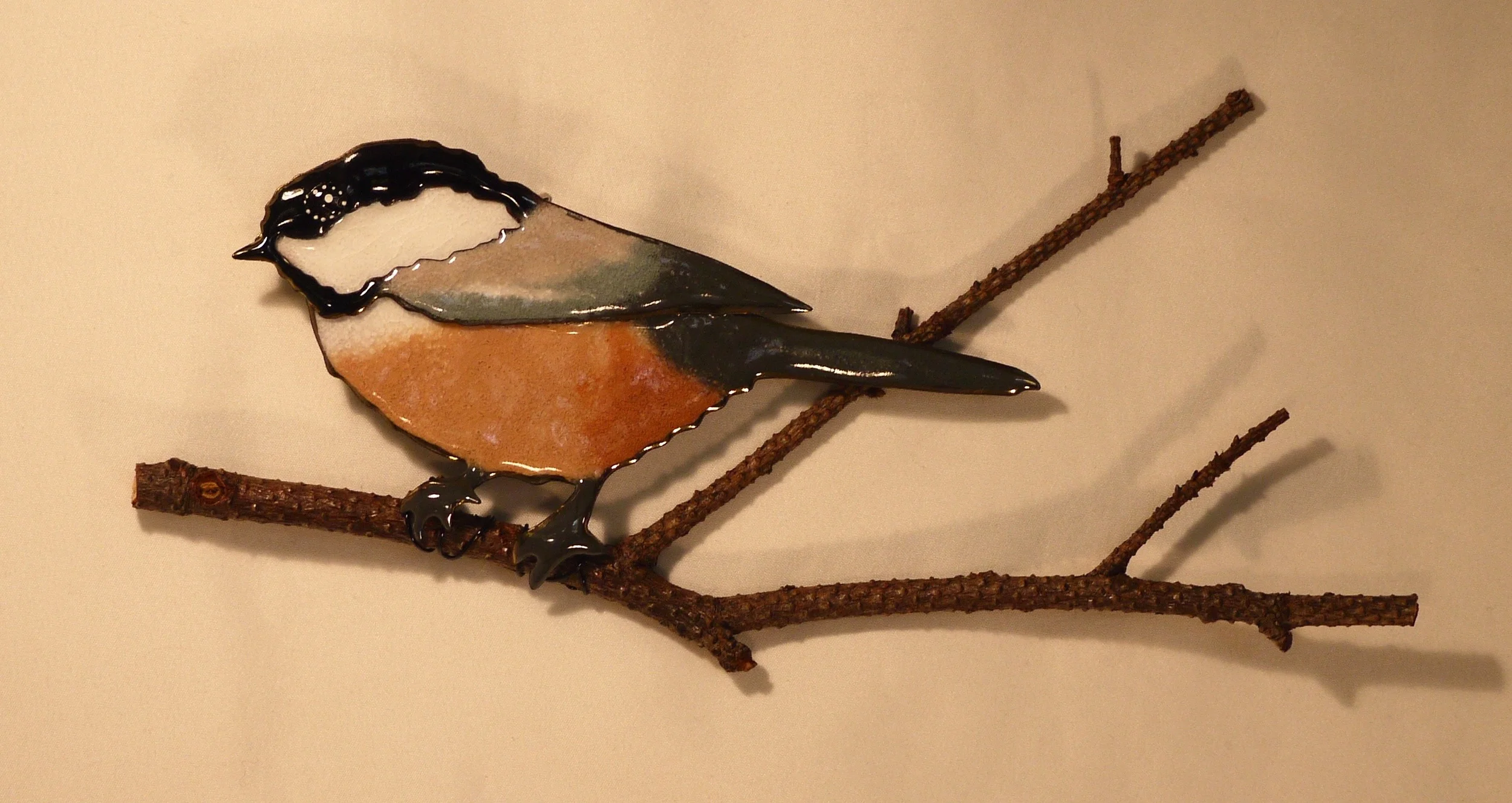 Black-capped Chickadee