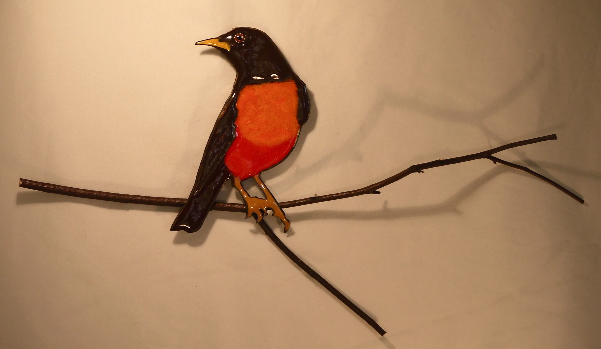 American Robin