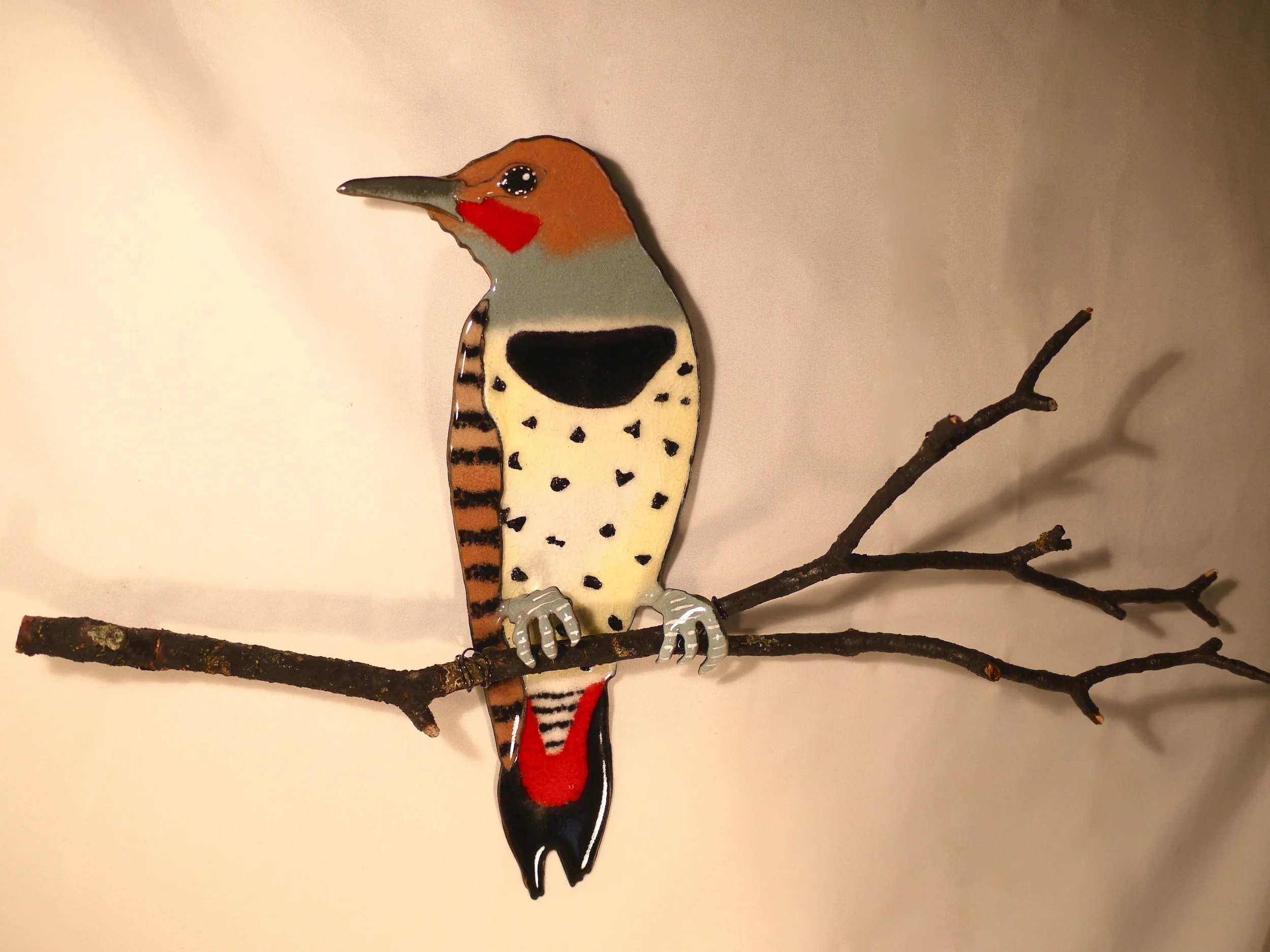 Northern Flicker