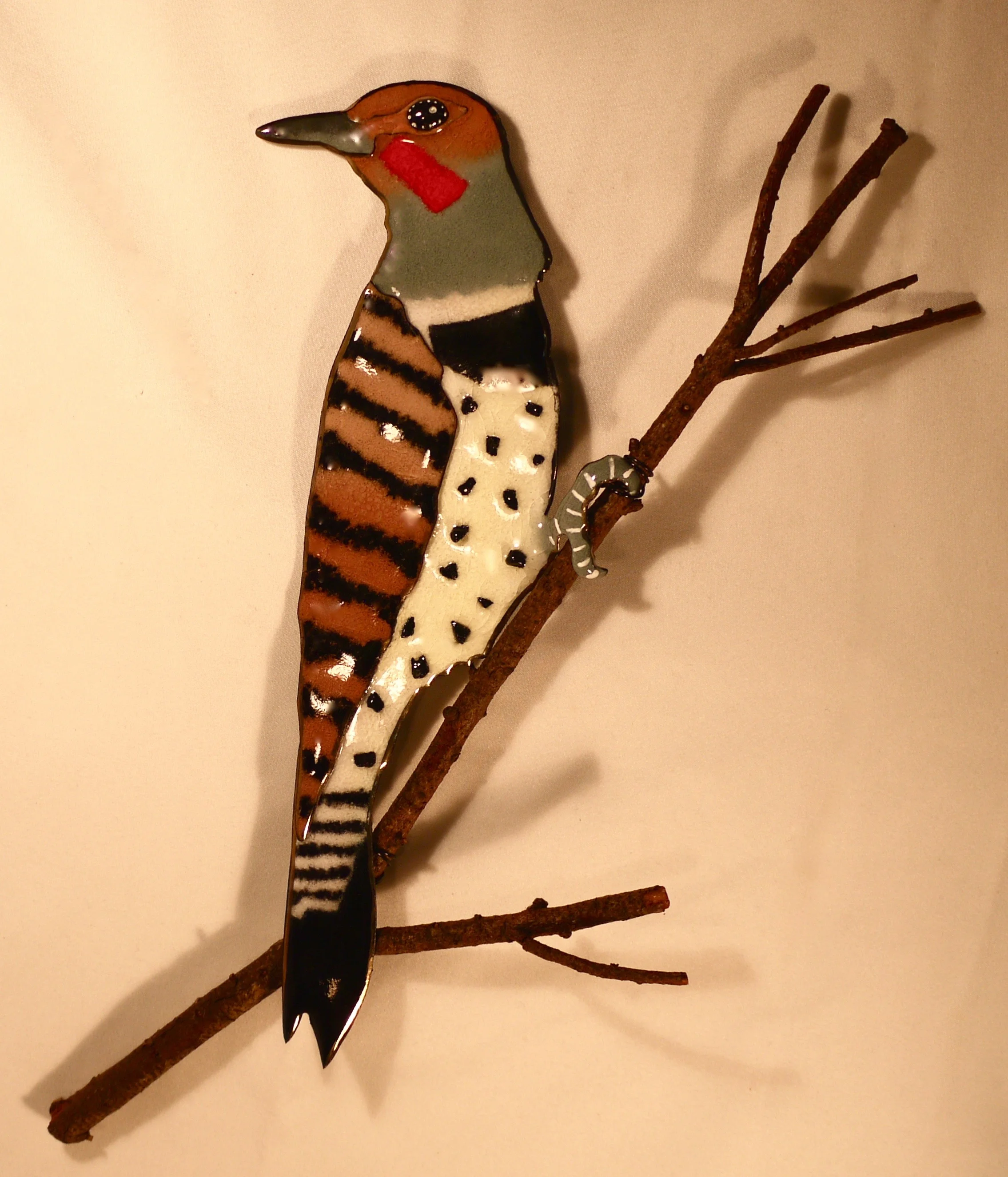 Northern Flicker