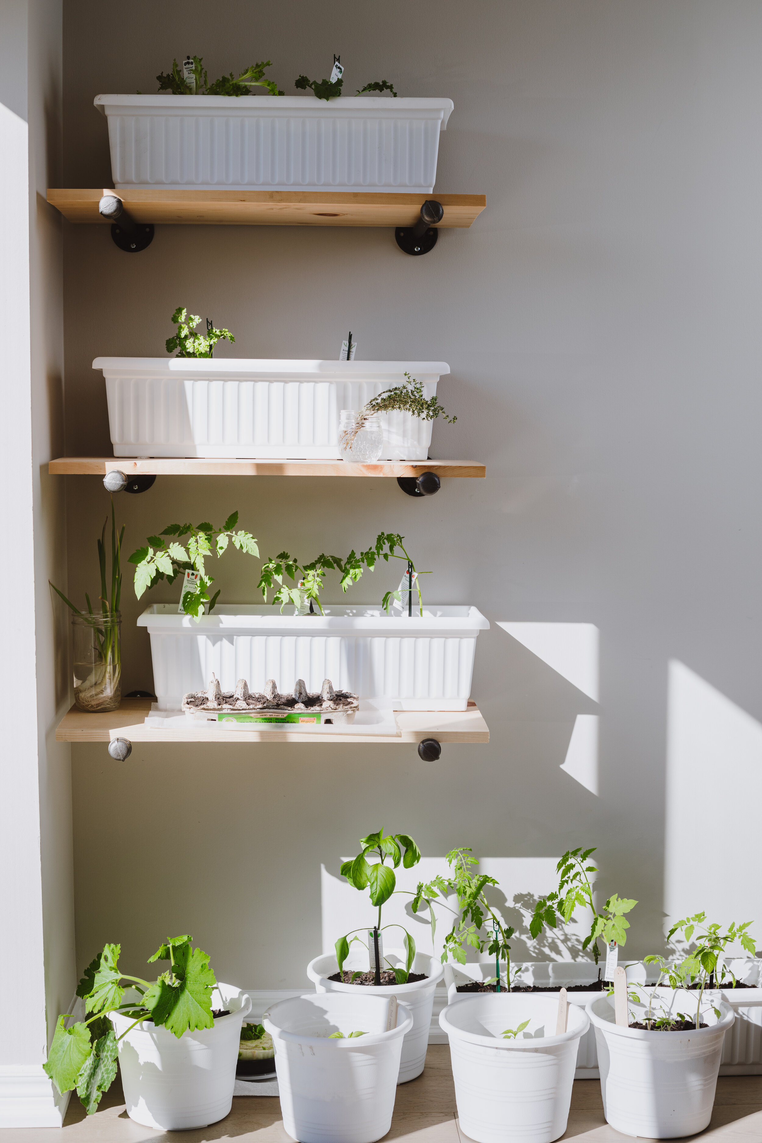 plant shelf-2.jpg