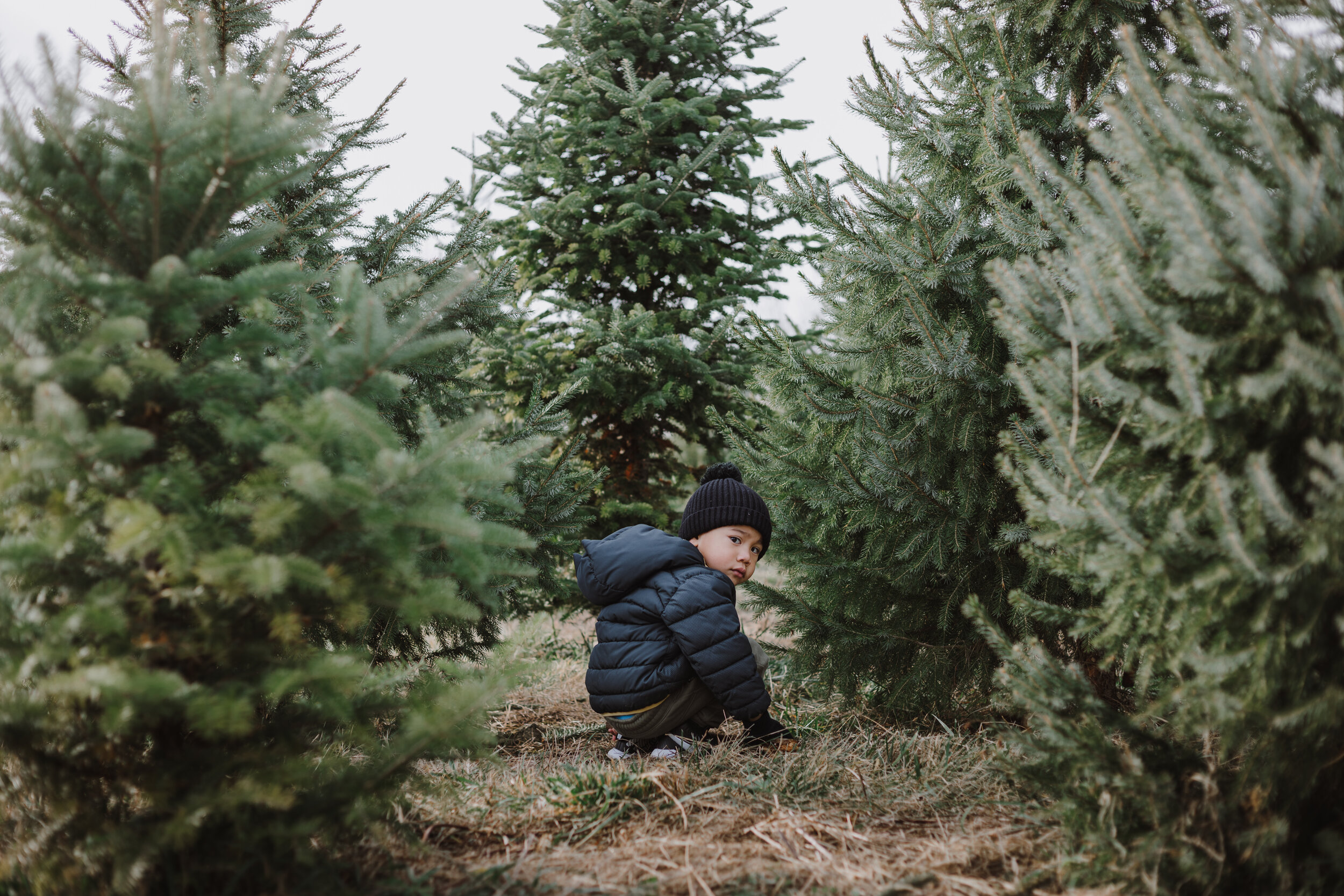 Christsmas Tree Farm 2020-8.jpg