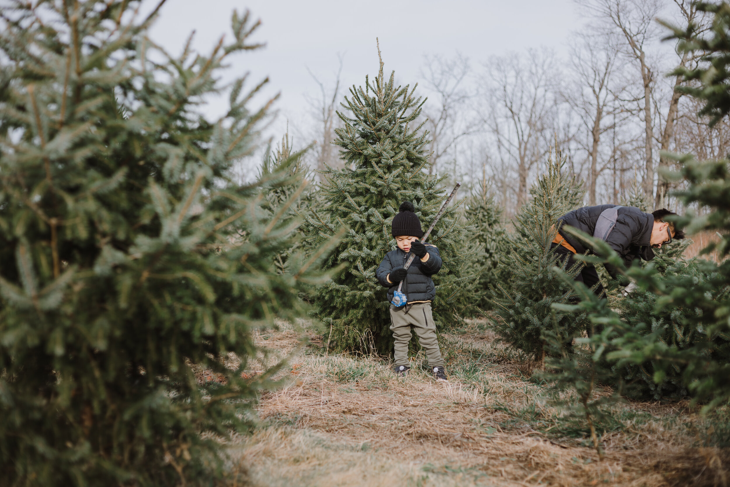 Christsmas Tree Farm 2020-17.jpg