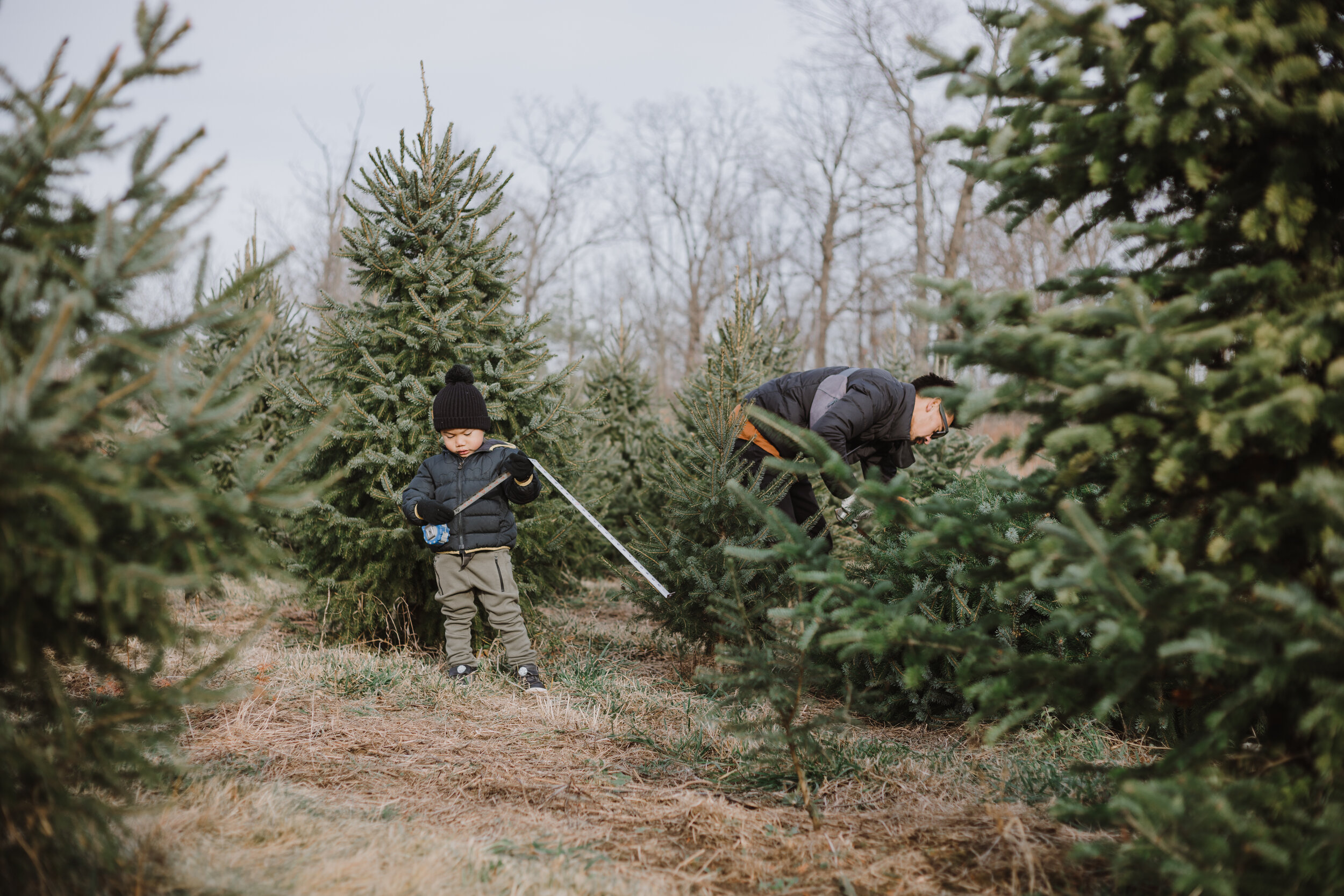 Christsmas Tree Farm 2020-18.jpg