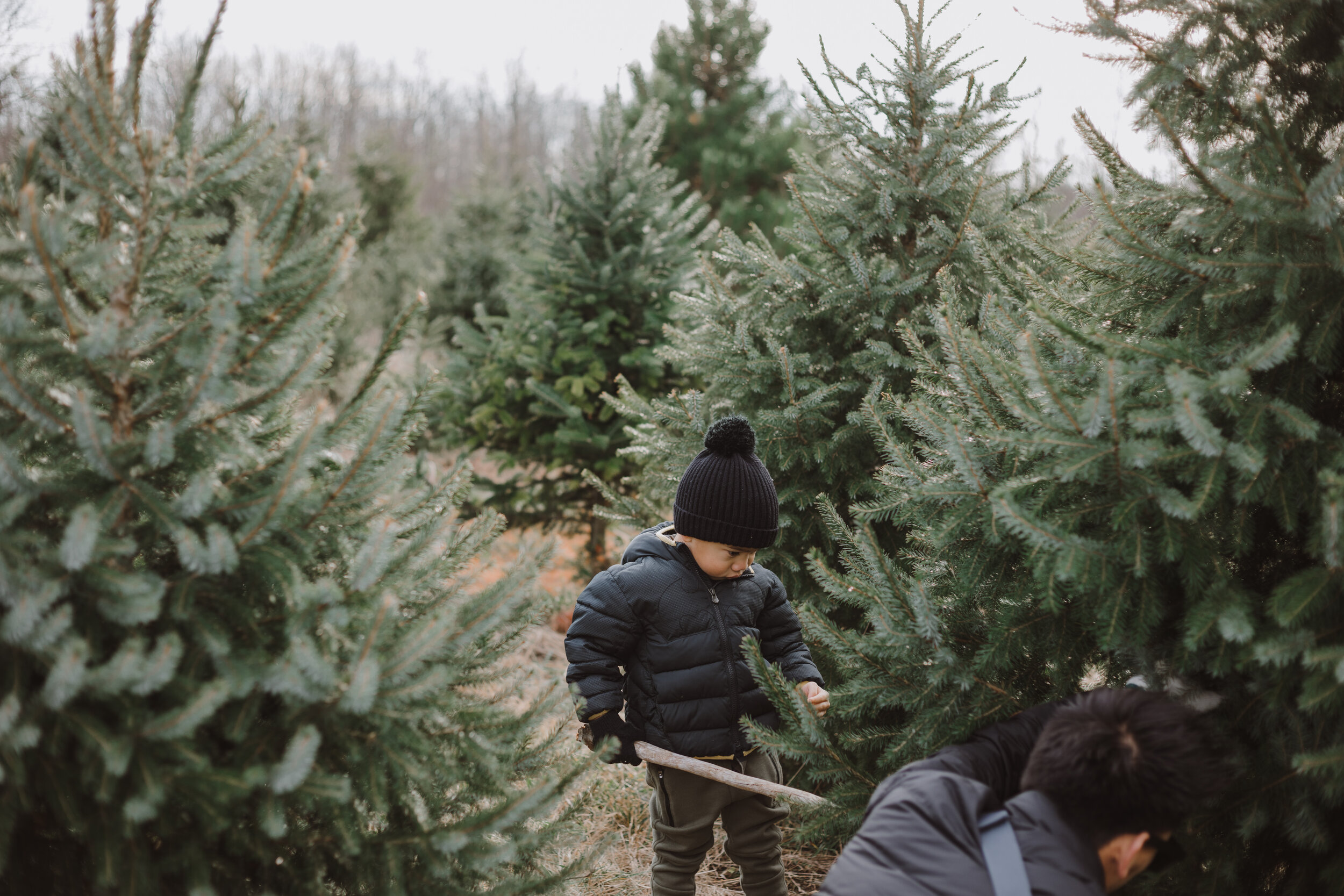 Christsmas Tree Farm 2020-9.jpg