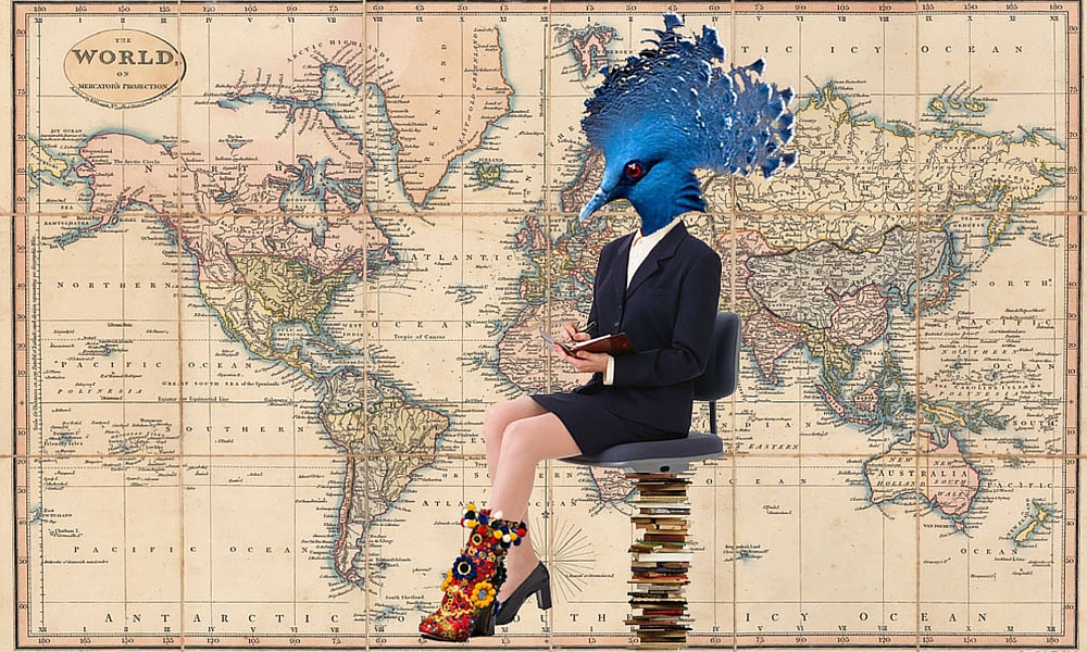 My daughter, Emily, kindly made a collage for me when she read my blog.