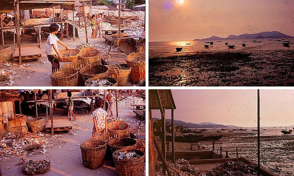Lau Fau Shan Oyster Beds & Market, New Territories, Hong Kong 1970