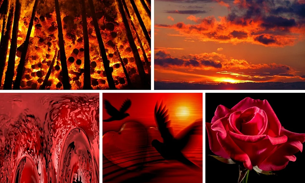 Red is gorgeous and dangerous, passionate and painful - what a duet