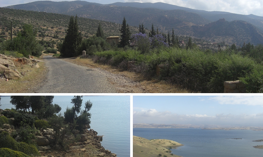 This was part of the road I walked to get away from the gite!