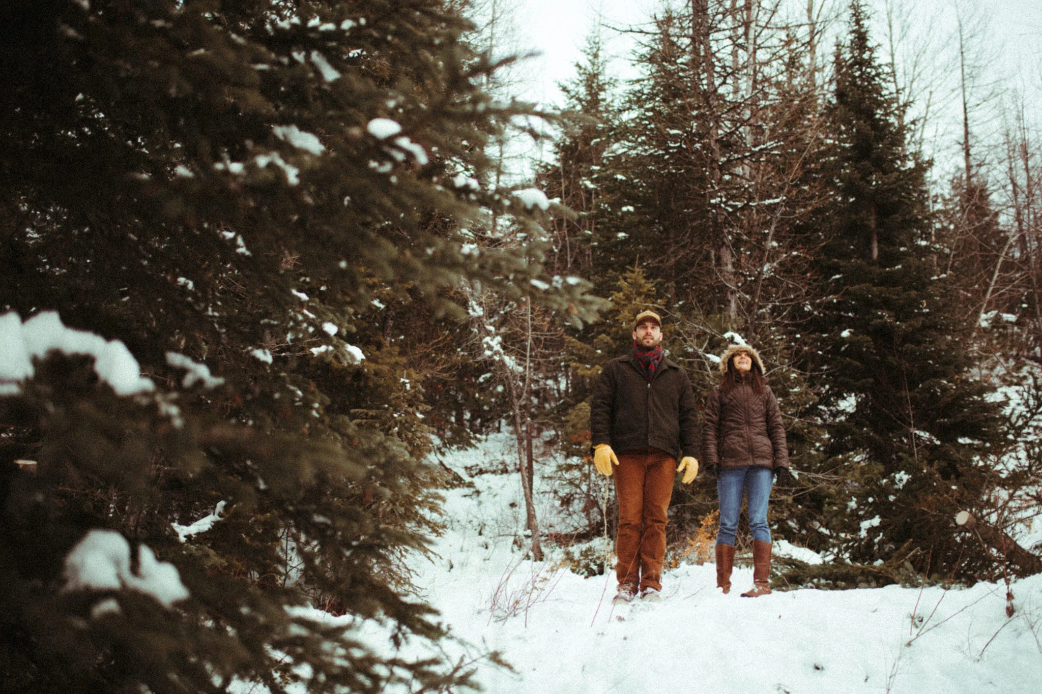 Montana Adventure Session: Cutting a Christmas Tree