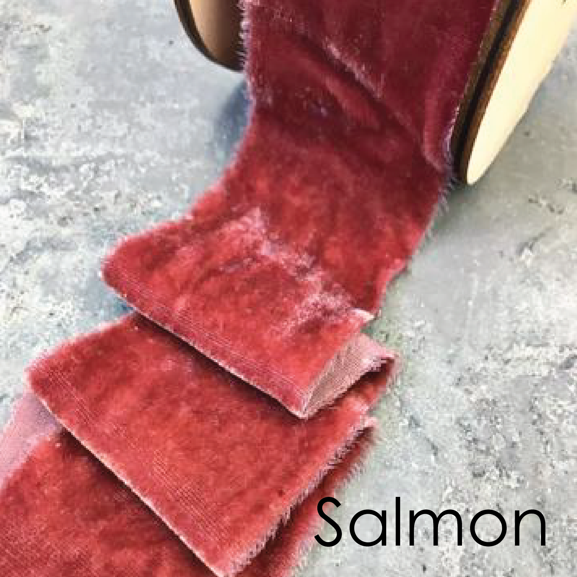 Salmon-01.png