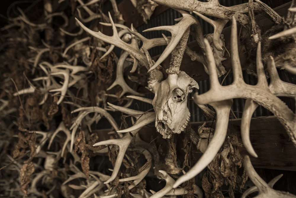 Danner_Pronghorn_0002.jpg