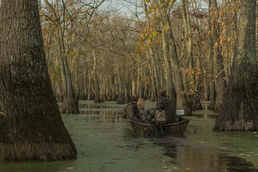 LaCrosse_FloodedTimber_0006.jpg