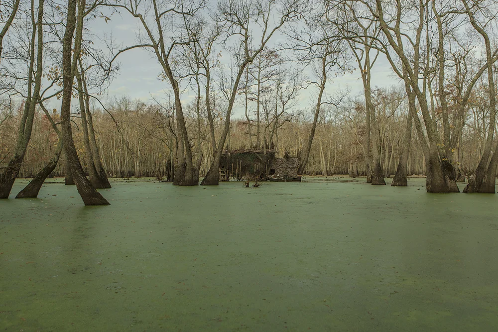 LaCrosse_FloodedTimber_0008.jpg