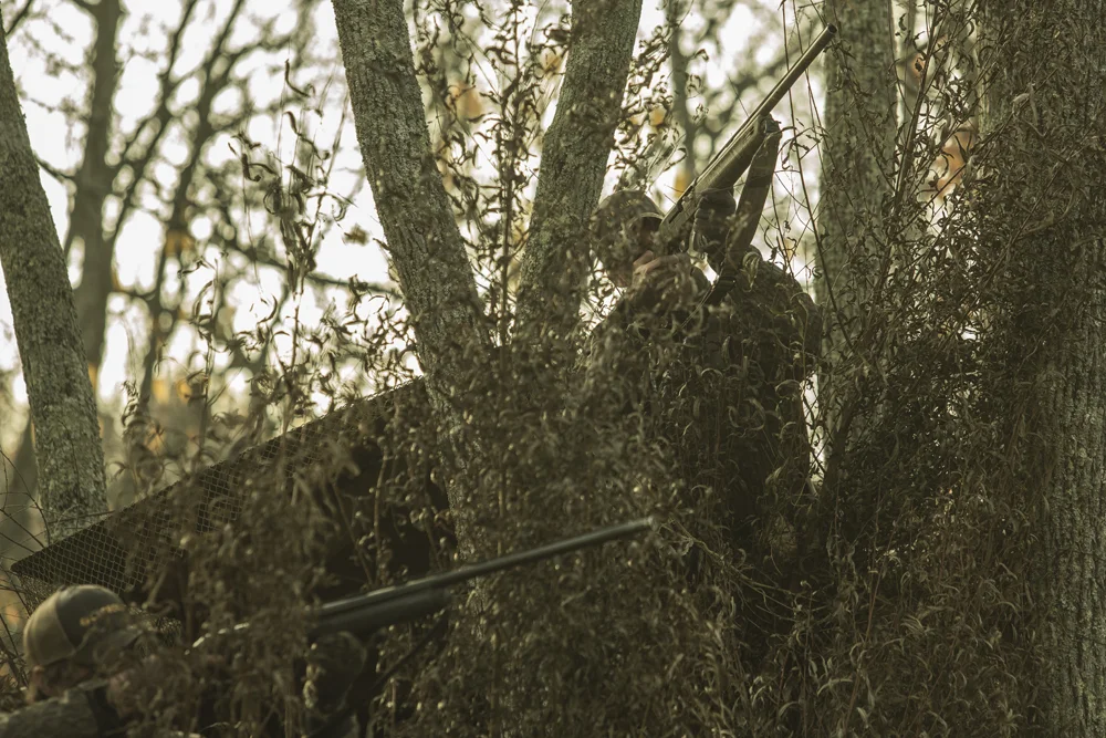 LaCrosse_FloodedTimber_0017.jpg