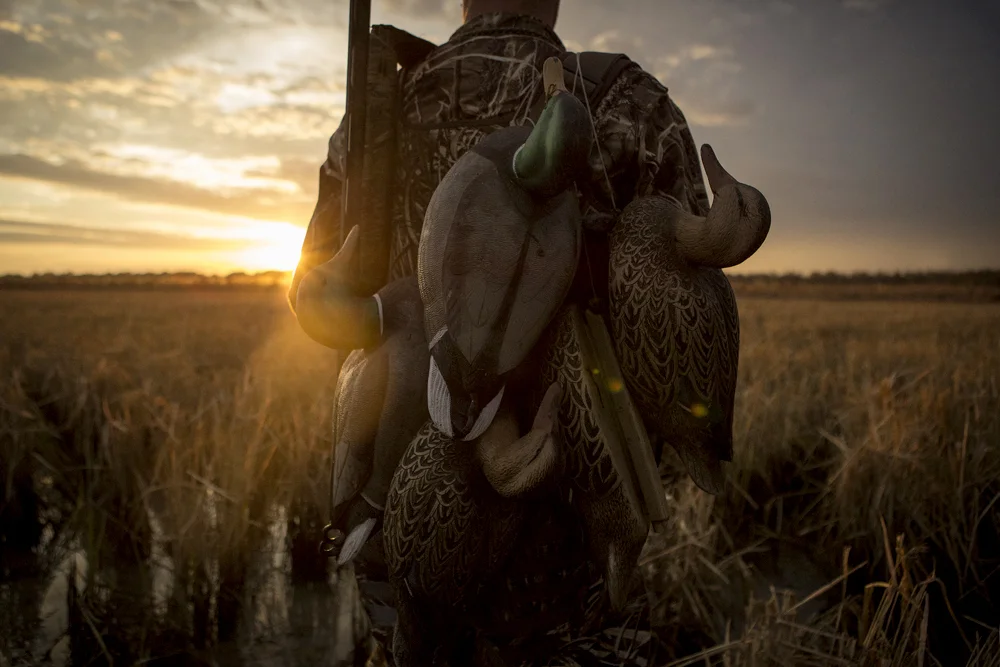 LaCrosse_MississippiDuck_0001.jpg