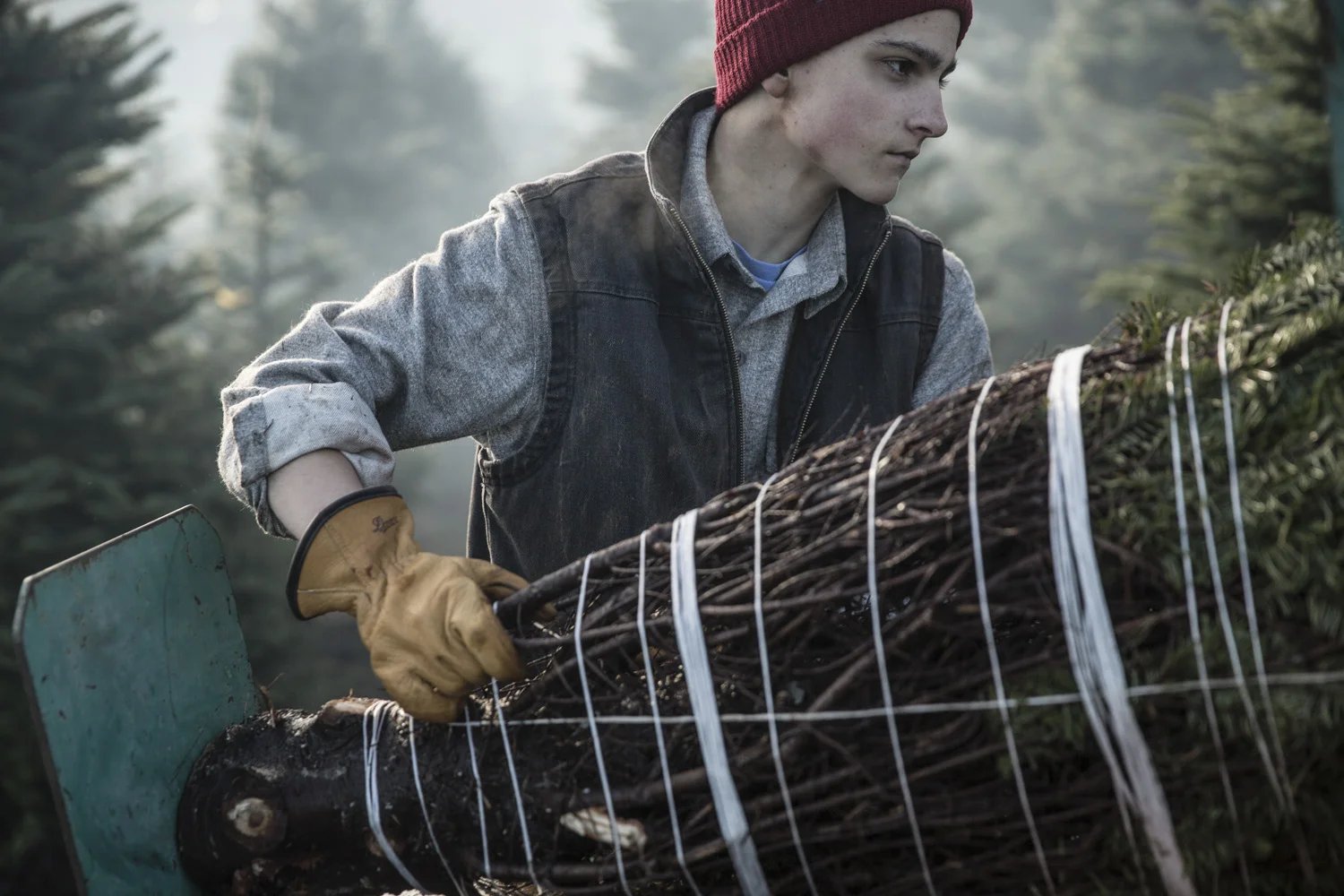 Danner_FurrowFarms_0007.jpg