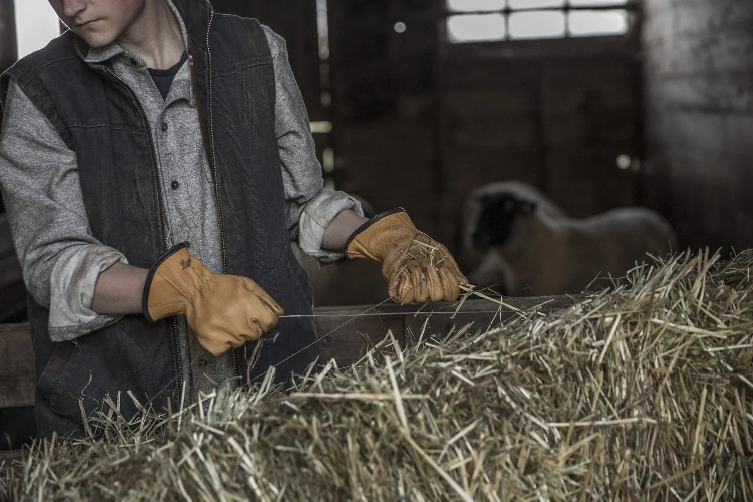 Danner_FurrowFarms_0022.jpg