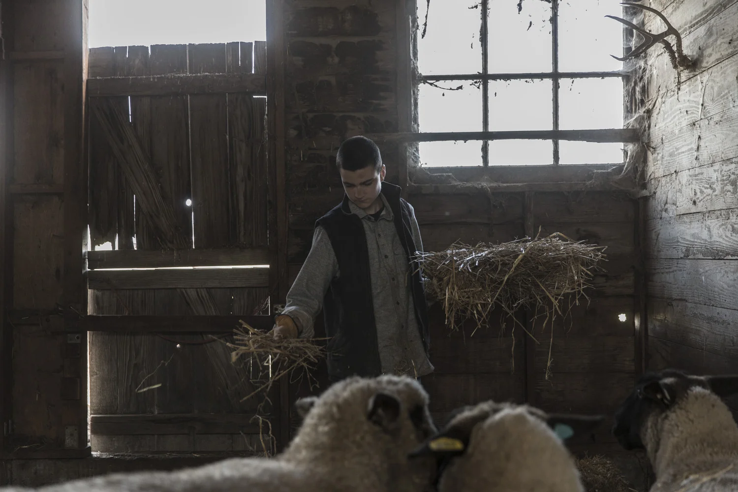 Danner_FurrowFarms_0026.jpg