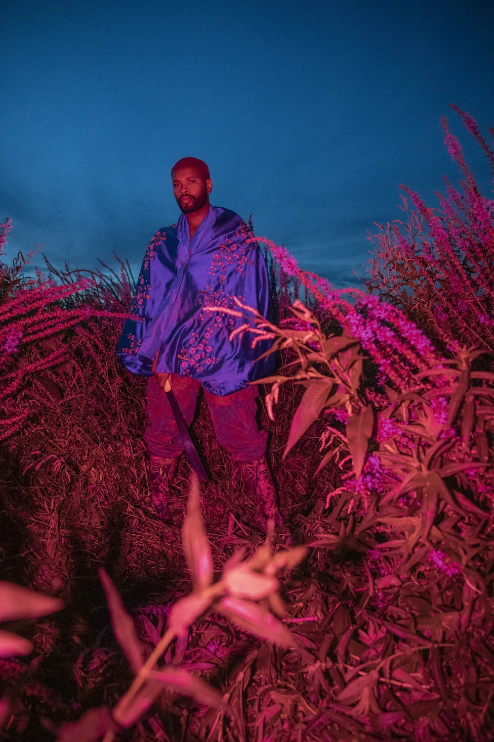 PUP_LooseStrife_006.jpg